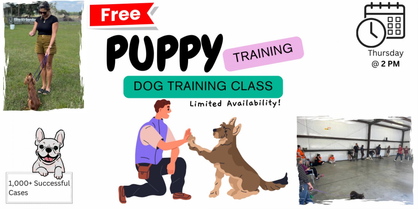 FREE Puppy Training Class