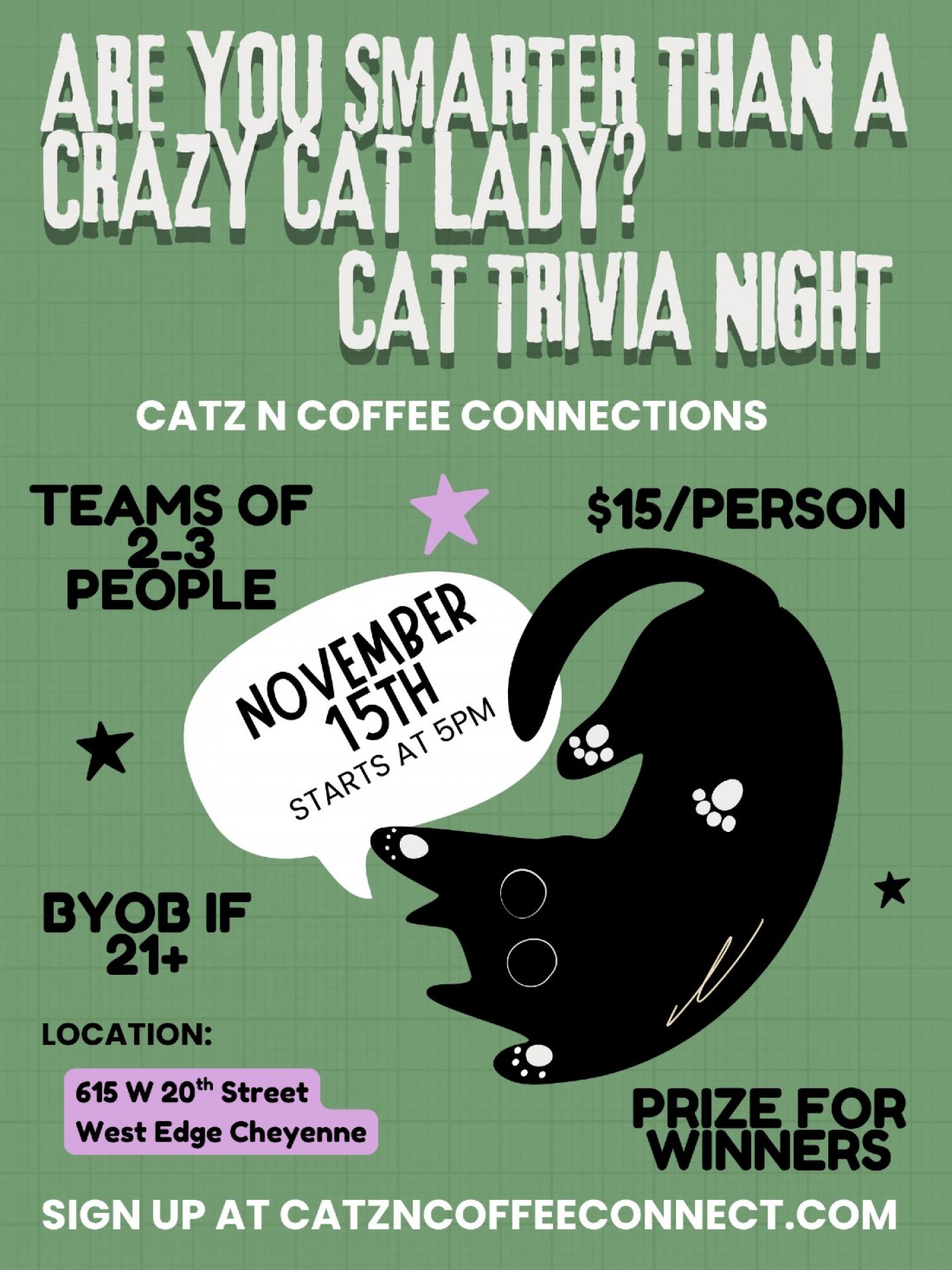 Are You Smarter Than A Crazy Cat Lady - Cat Trivia Night