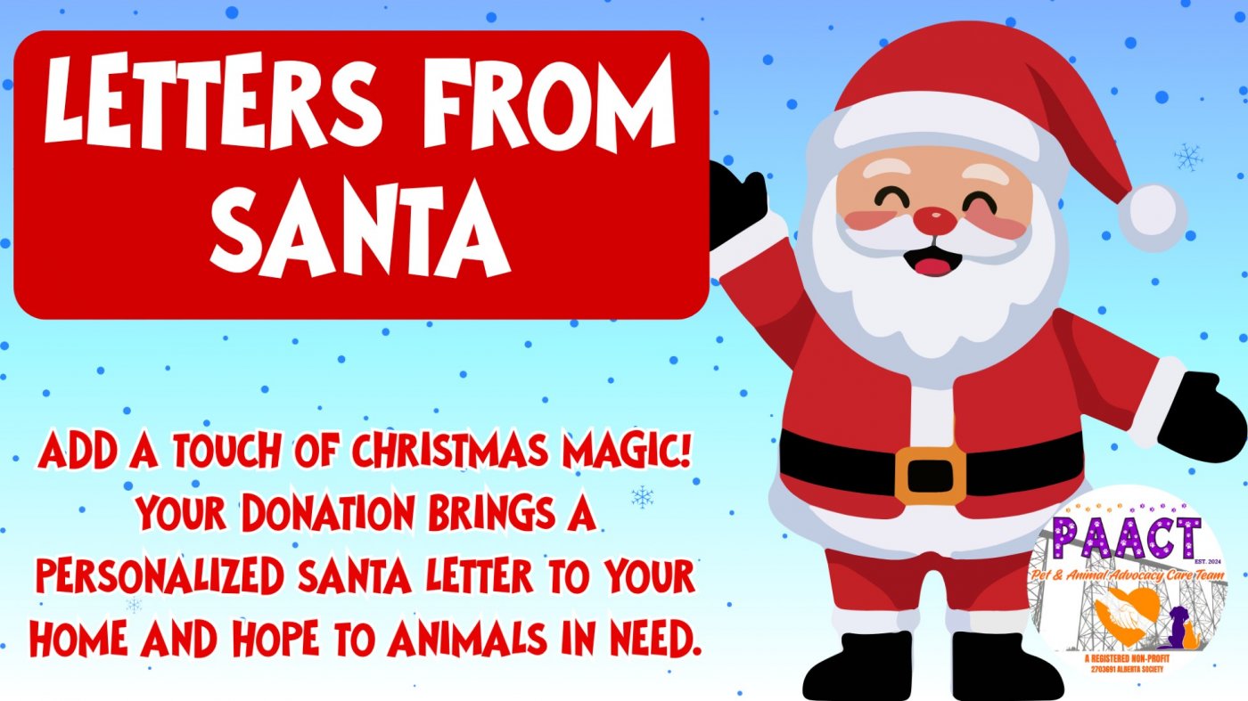 Letters From Santa For Animals In Need! By PAACT