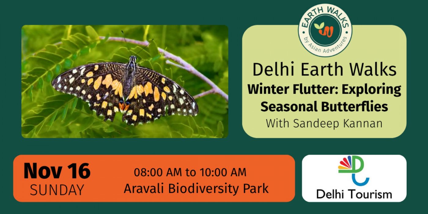 Winter Flutter: Exploring Seasonal Butterflies at Aravali Biodiversity Park