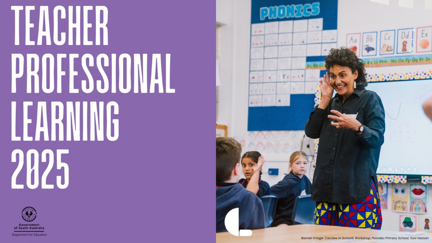 Teacher Professional Learning: Fun Faces: Exploratory portraiture for art in schools