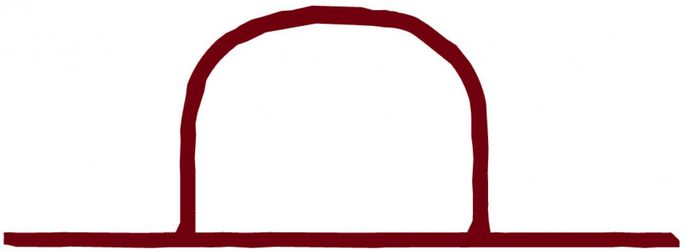 Wandering Saguaro at Hat Ranch Winery