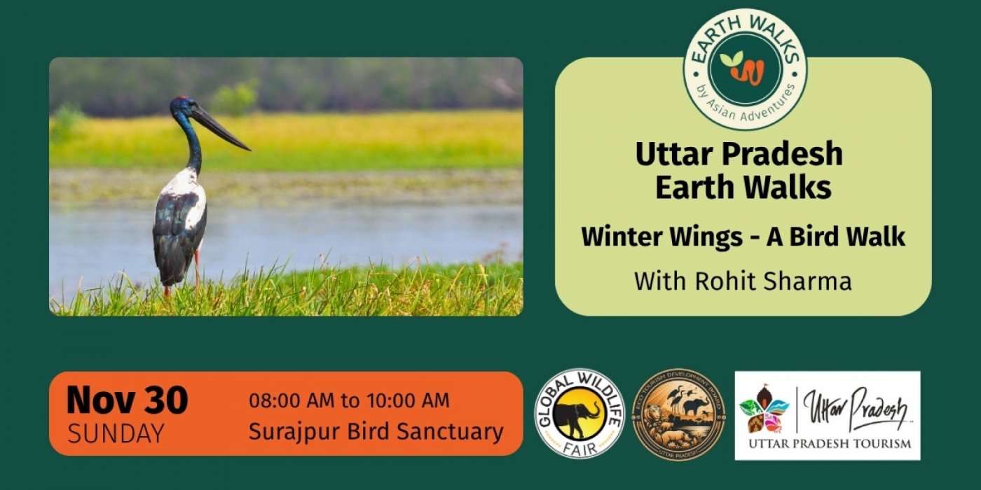 Winter Wings: Bird Walk at Surajpur
