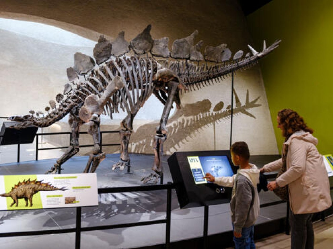 American Museum of Natural History