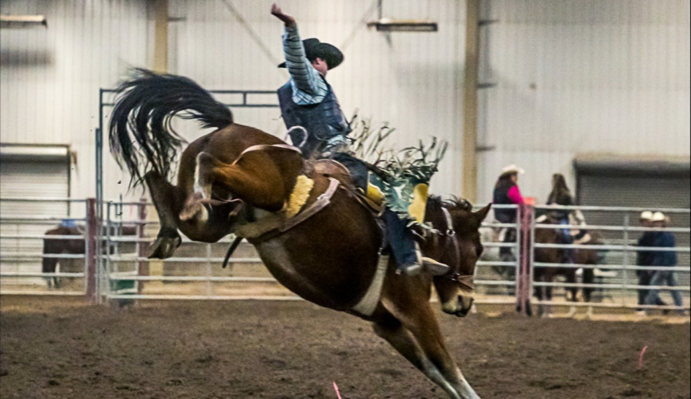 Brash Rodeo Winter Series