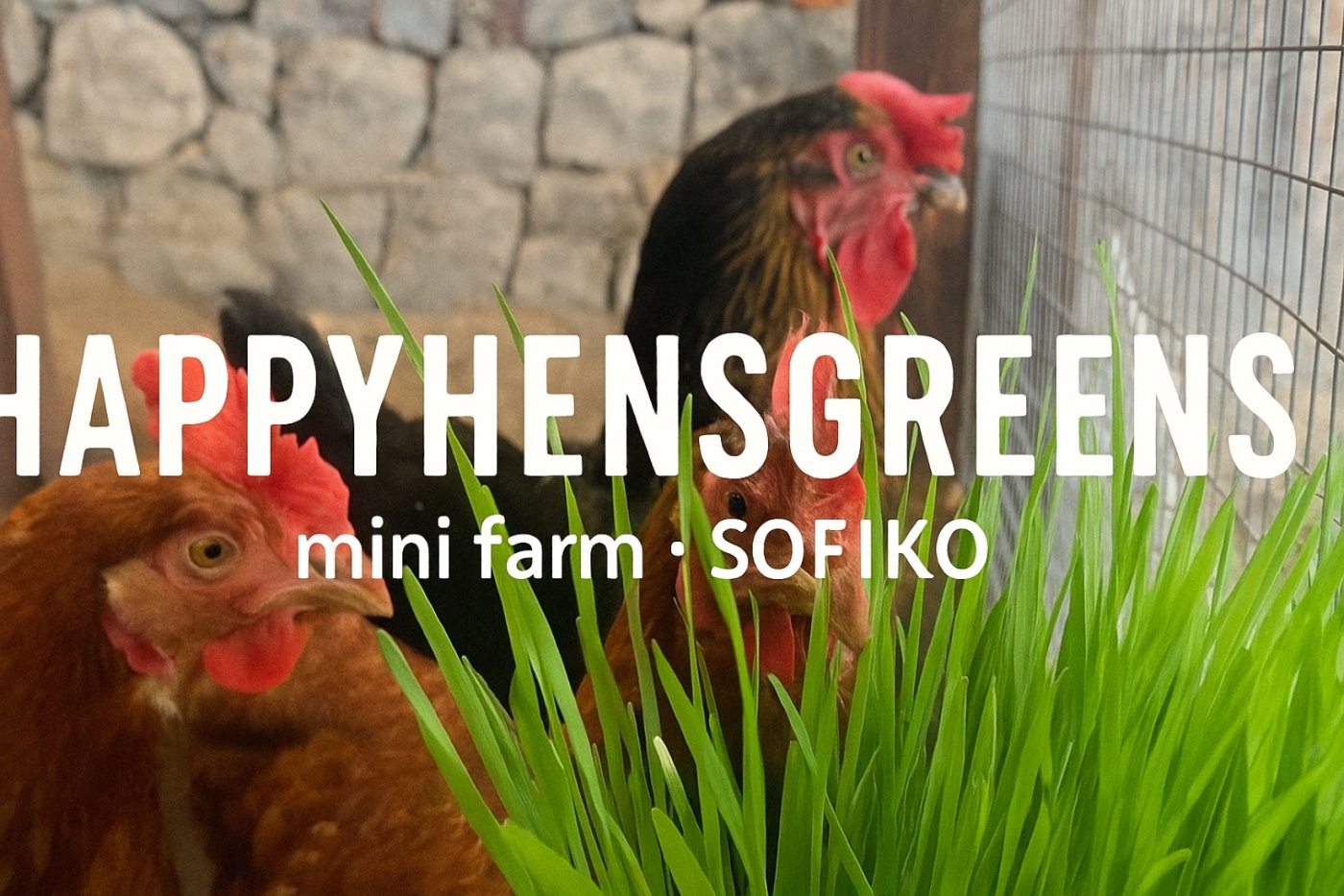 Happy Hens Greens mini farm SOFIKO