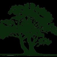 Medicine Hat Interpretive Program