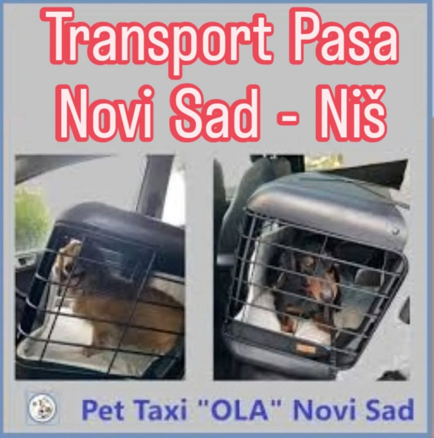 Transport Pasa Novi Sad - Ni\u0161