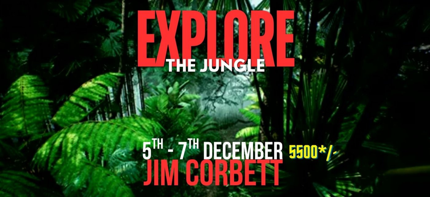 WEEKEND ADVENTURE: 2-Night Jim Corbett Safari Adventure (Dec 5th-7th) 5500* only