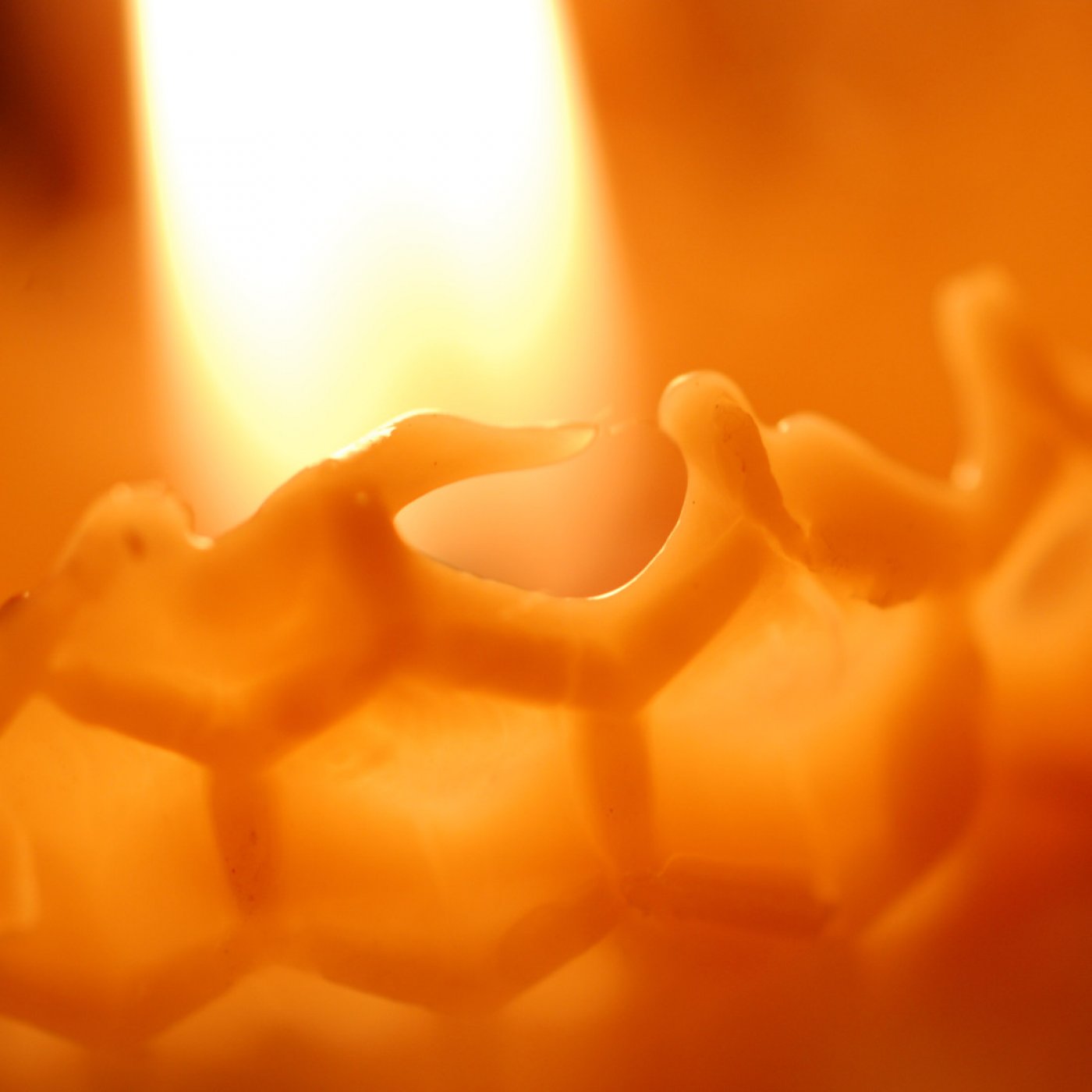 Beeswax Candle Making Workshop