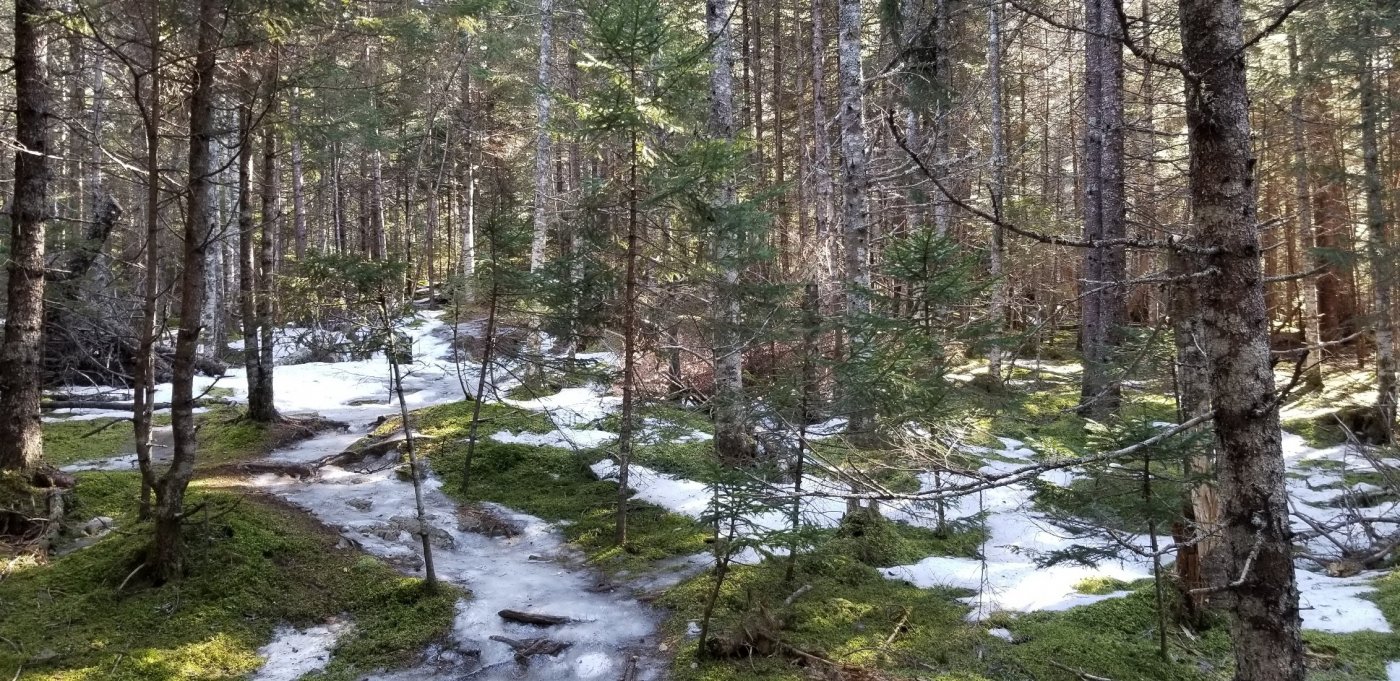 Shared Silence Gathering