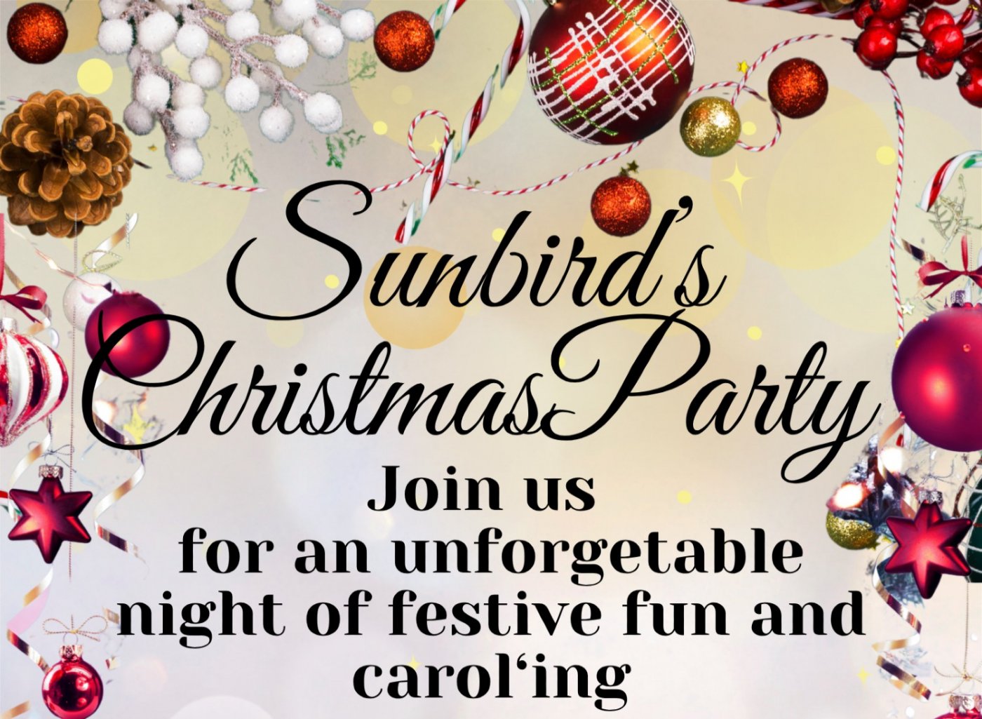 Sunbird Christmas Party