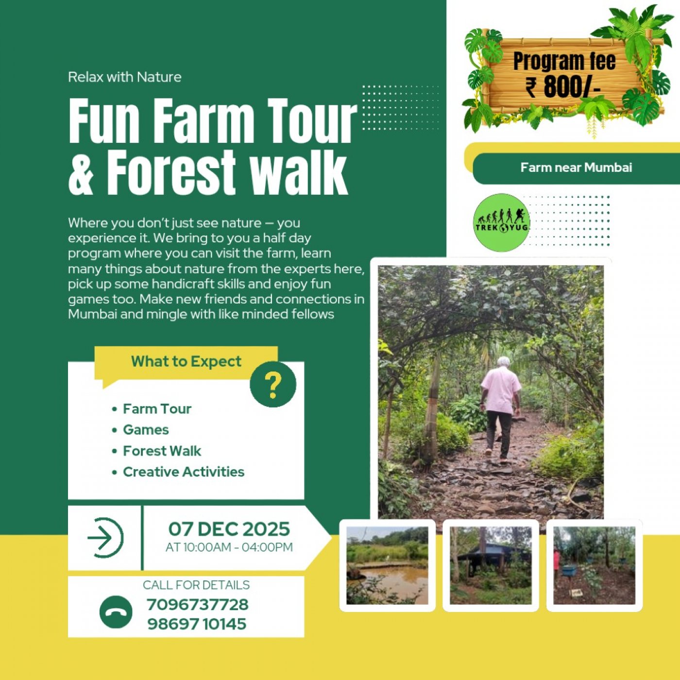 Fun Farm Tour and Forest Walk