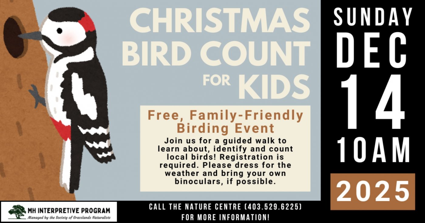 Christmas Bird Count for Kids (CBC4K)