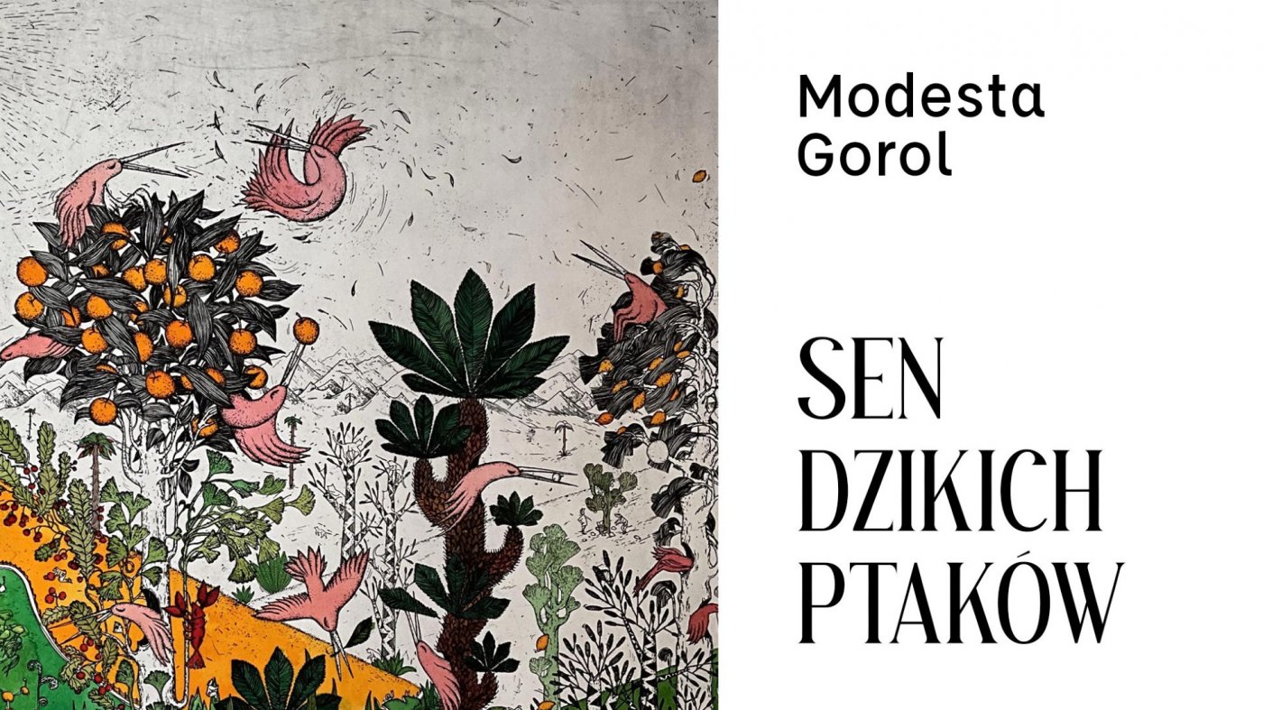 Sen Dzikich Ptak\u00f3w -  Modesta Gorol