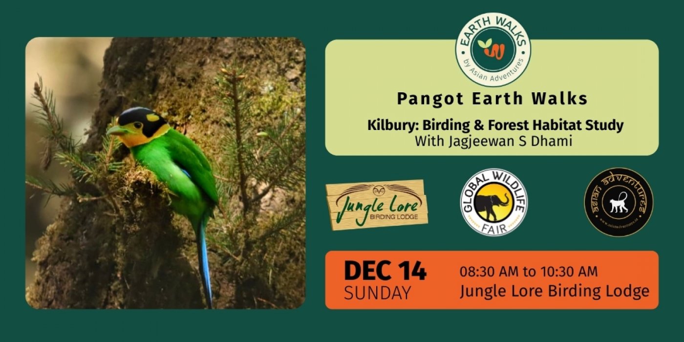 Kilbury: Birding & Forest Habitat Study at Pangot