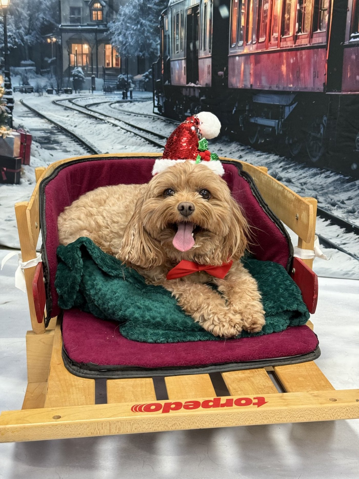 MHS Holiday Photobooth at Rens Pets Heartland