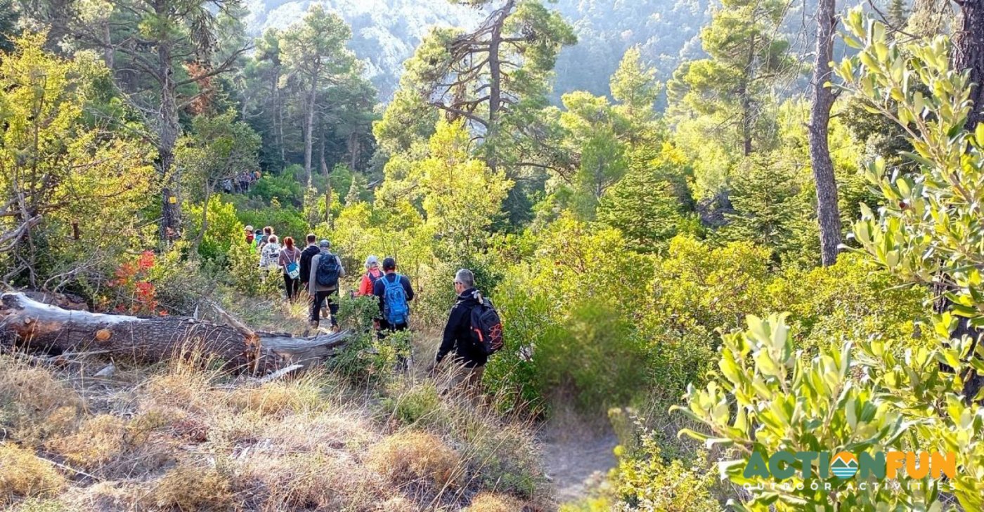 \ud83c\udf32 \u03a0\u03ac\u03c1\u03bd\u03b7\u03b8\u03b1 North Face, \u0391\u03b3. \u039c\u03b5\u03c1\u03ba\u03bf\u03cd\u03c1\u03b9\u03bf\u03c2 \u2013 \u0392\u03c1\u03cc\u03ba\u03bf\u03bb\u03b9.