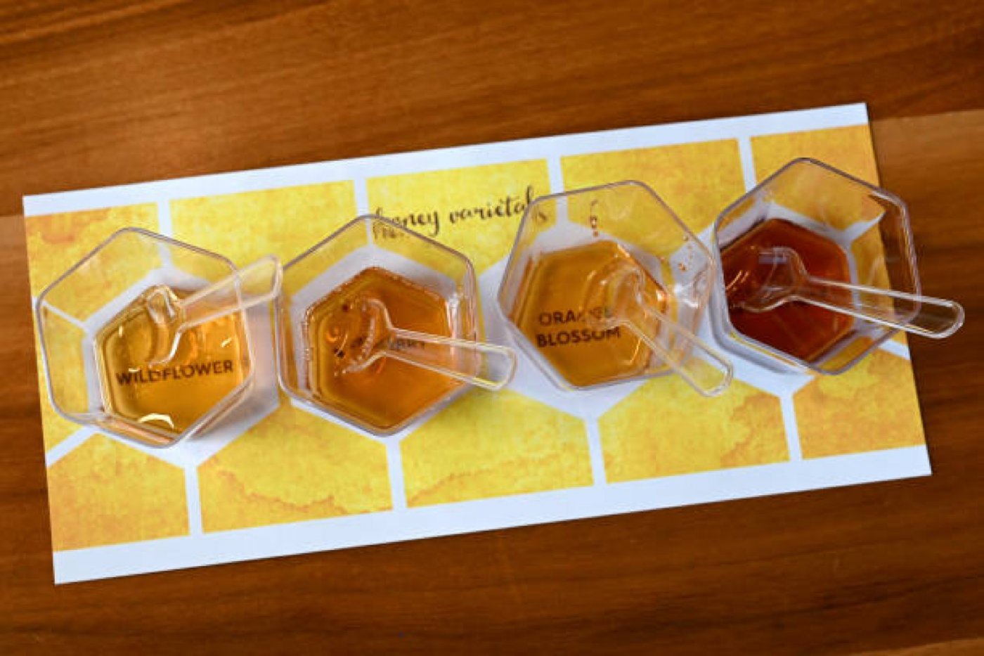 A Taste of Croatia: A Honey Tasting & Bee Product Sale