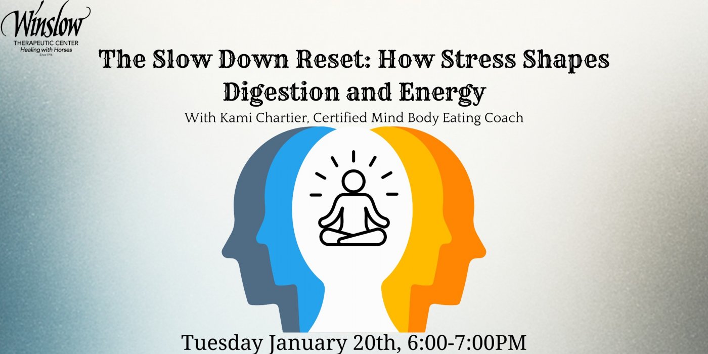 The Slow Down Reset: How Stress Shapes Digestion and Energy