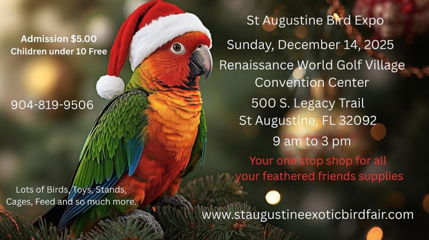St Augustine Bird Expo