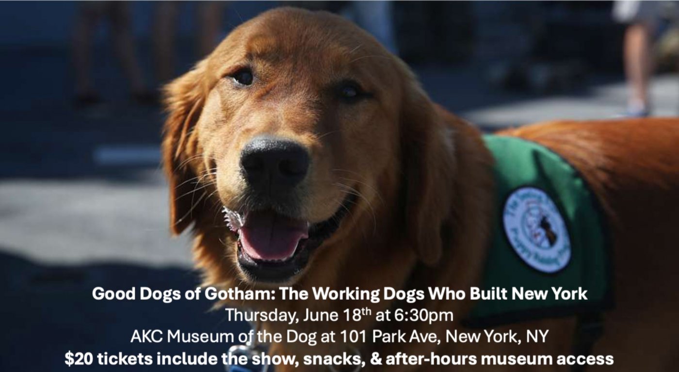 Good Dogs of Gotham: The Working Dogs Who Built New York